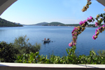 Apartmani - BRACO, Rogoznica