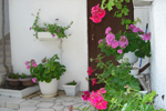 Apartmani - BRACO, Rogoznica