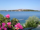 Apartmani - BRACO, Rogoznica